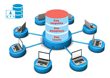 Database Management