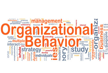 Organizational Behavior